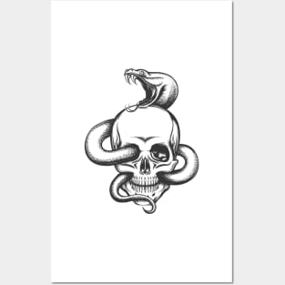 Snake and Skull Engraving Illustration Posters and Art